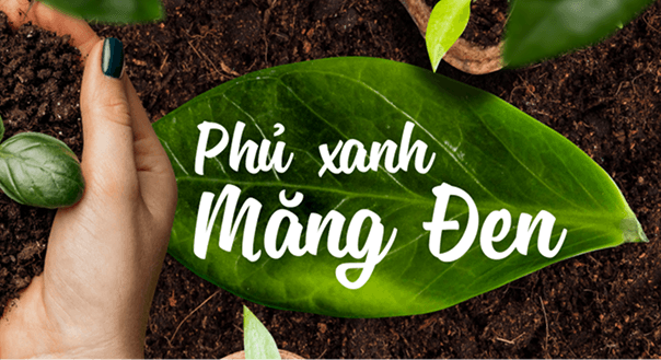 TRỒNG RỪNG