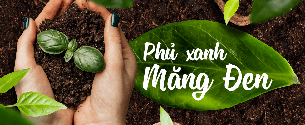 Phu xanh mang den